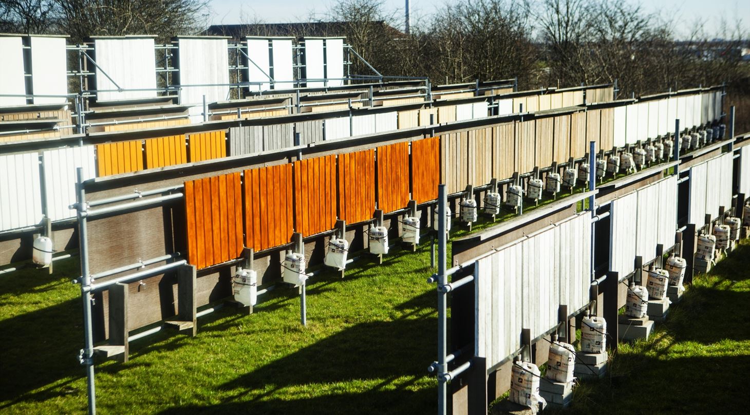 Træbehandling - Biocides